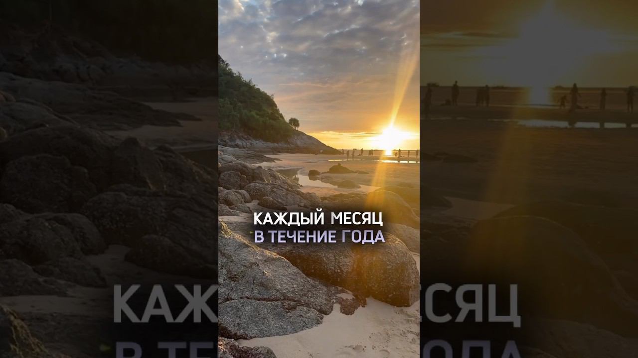 ЭТОТ ГОД ПЕРЕВЕРНЕТ ТВОЮ ЖИЗНЬ #shorts смотреть онлайн