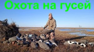 ОХОТА НА ГУСЕЙ 2021. Серия 8/Goose hunting 2021. Series 8