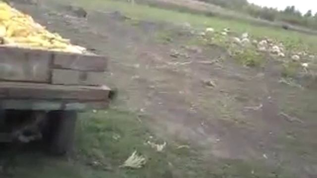 Самодельный минитрактор смотреть онлайн