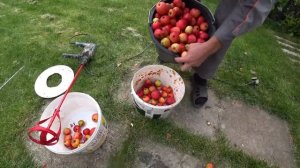 ✅СУПЕР ИЗМЕЛЬЧИТЕЛЬ ДЛЯ ЯБЛОК СВОИМИ РУКАМИ | ДРОБИЛКА ДЛЯ ЯБЛОК | ПРЕСС ДЛЯ СОКА | КАК ДАВИТЬ СОК