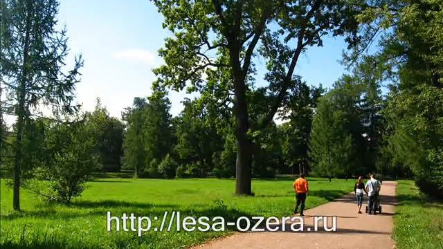 Пушкин и его парки.wmv смотреть онлайн