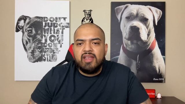 5 best kibbles for pit bulls that are affordable! смотреть онлайн
