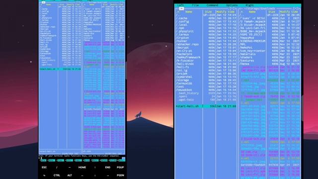 HOW TO GETTING ROOT ACCESS ON TERMUX | CARA MENDAPATKAN AKSES ROOT DI TERMUX | WORK 100% | 2022 смотреть онлайн