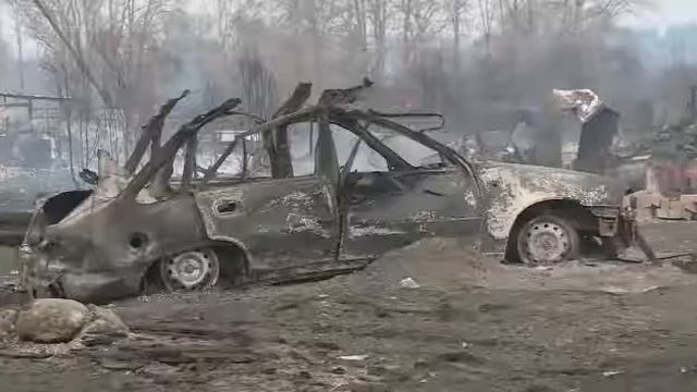 Берегите лес от пожаров смотреть онлайн