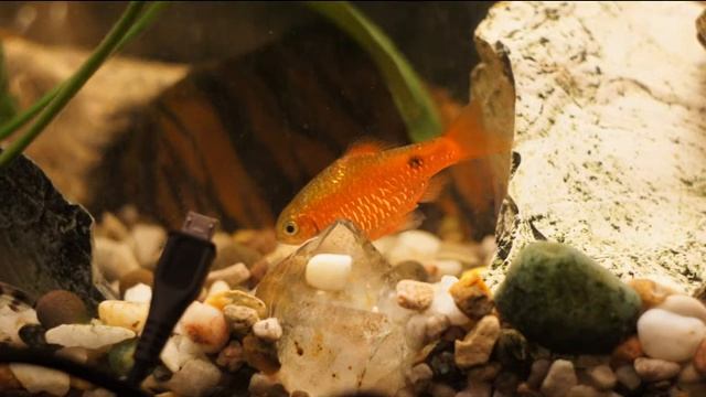 Достучатся до небес