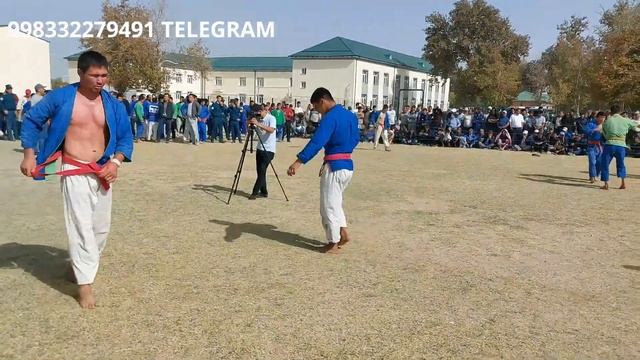 JARQURĞONDA KATTA KURASH BOSHLANDI TAVOQLAR смотреть онлайн