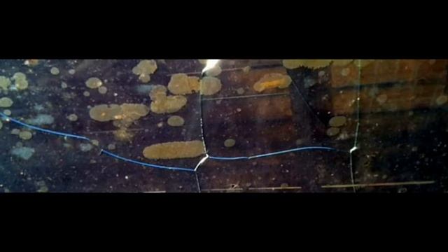 Structures Movement & Deliberate Distortion