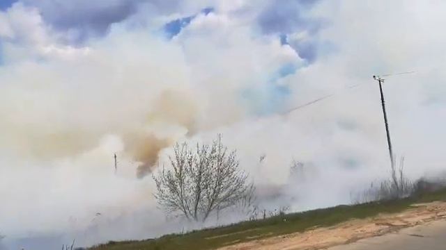 Пожар в Садгороде, горит сухая трава вблизи подстанции, ветер гонит огонь к домам смотреть онлайн