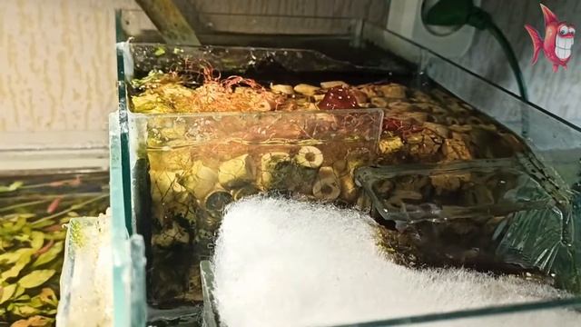 Фильтрация аквариума смотреть онлайн