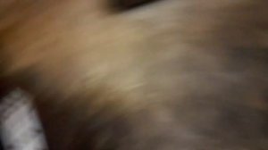 Форд мондео 3 клапан ЕГР заглушка, последствие выпуск 1