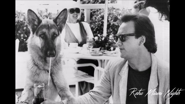 K-9 Iko Iko By Amy Holland