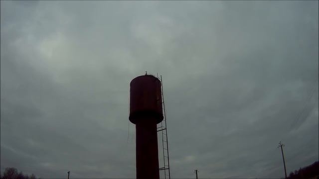 Деревенские новости:снова донаты???/аисты/урожай/Рыжик. смотреть онлайн