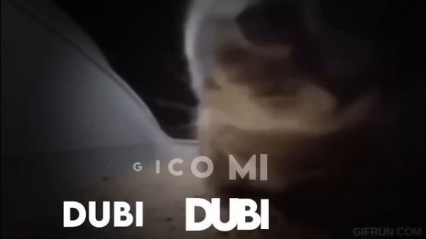 CHIPI CHIPI CHAPA CHAPA DUBI DUBI [1 HOUR]