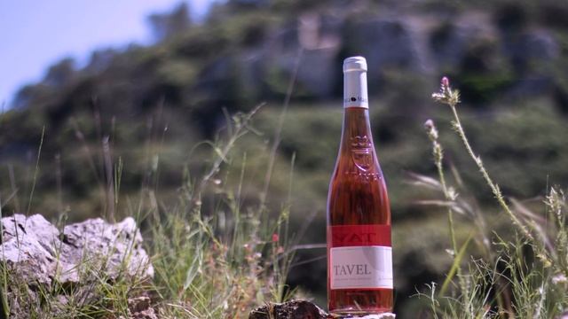 Гренаш он же Гарнача Grenache/Garnacha/Grenache Noir смотреть онлайн