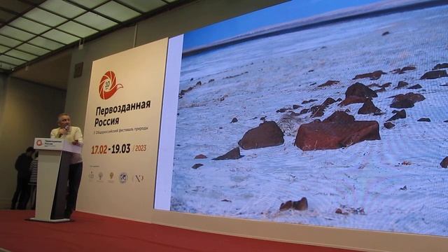 11.03.2023, Первозданная Россия, Валерий Малеев, Презентация книги Манул, часть-2 смотреть онлайн