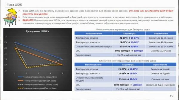 Выращивания шампиньона часть 11. Фаза ШОК #DENLife