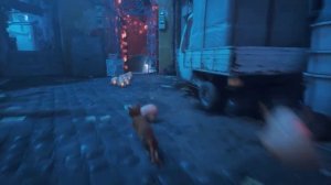 Новый Симулятор КОТЕНКА #1 Кид стал Рыжим Котом в Stray на Пурумчата