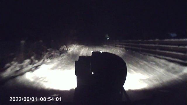 Покатушка тест мотособаки