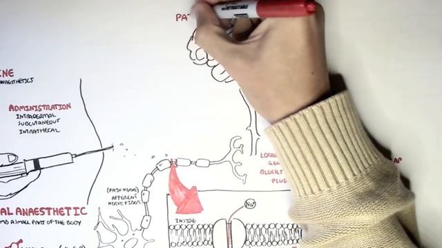 Pharmacology - Local Anaesthetic.mp4 смотреть онлайн
