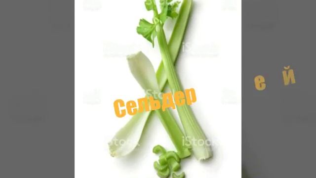 Какие овощи и траву можно давать вашему попугаю?:)Самые полезные овощи смотреть онлайн