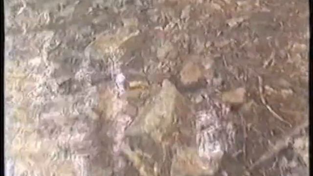 Как молоды мы были! смотреть онлайн