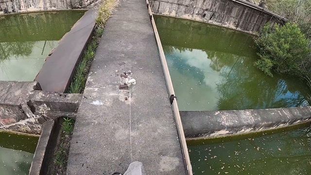 What's Swimming In This ABANDONED SEWER PLANT??? (Bizarre Cast Net Results!) смотреть онлайн