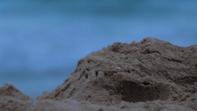 ПРЕКАРАХМЕ 24 ЧАСА на ПЛАЖА смотреть онлайн