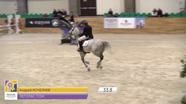 Maxima Equisport 18 11 2017 Маршрут 100 см Кочелаев Андрей Леголас Сон смотреть онлайн