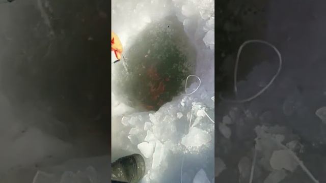 рыбалка аральское море смотреть онлайн