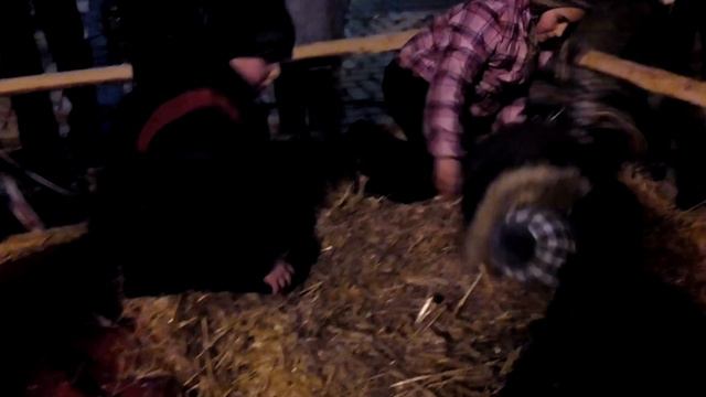 Детская горка 19.12.2016 Киев Софиевская площадь || Детский канал смотреть онлайн