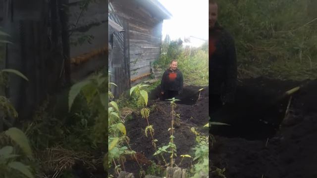 Сосед по приказу матери роет яму для мусора и помоев рядом с баней смотреть онлайн