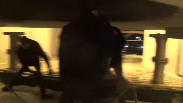 Колокола Троице Сергиевой лавры в Рождественскую ночь смотреть онлайн