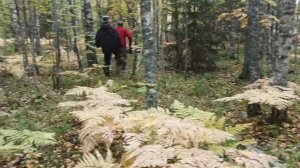 Каракат.Первая поездка на болото.