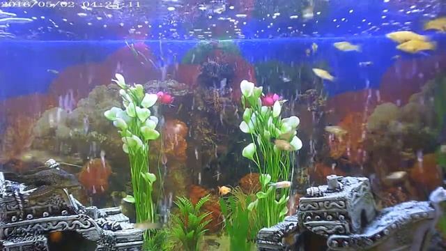 Камера с записью на SD JMC T-12