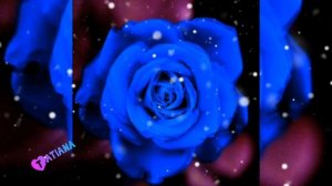 Serge Nova & Neoclubber - I Feel Alone