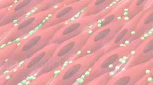 5 МИНУТДА ҚИННИ ТОРАЙТИРИШ. ЭРИНГИЗ ХУРСАНД БЎЛАДИ