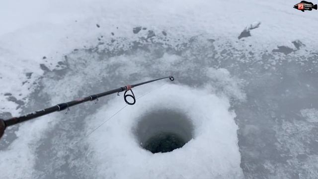 Новинка РАБОТАЕТ...|| FRAPP Whiphead 85mm || ПОДВОДНАЯ СЪЁМКА || ВИБЫ FRAPP