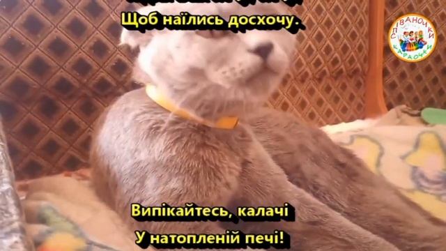 КАЛАЧІ #калачі (МІНУС КАРАОКЕ) смотреть онлайн