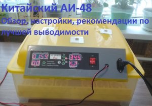 Инкубатор АИ-48. Обзор, настройки, рекомендации по лучшей выводимости.