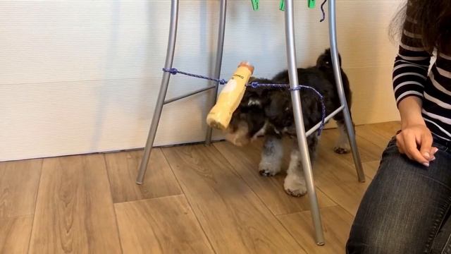 Развивающая игрушка своими руками: бутылка веревочке Тася