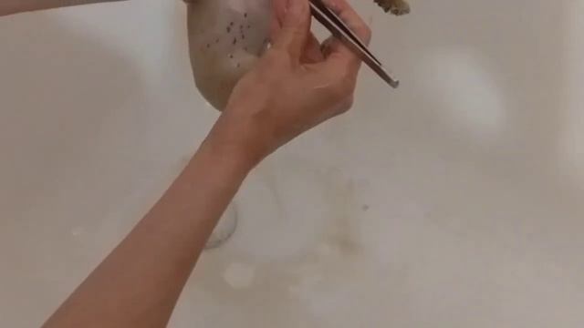 Котёнок с дороги смотреть онлайн