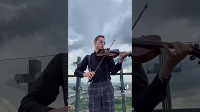 Игра на скрипке 🎻🎼🌸🌹💐🌼🌺#скрипка #музыка #тиктокиграет #тикток