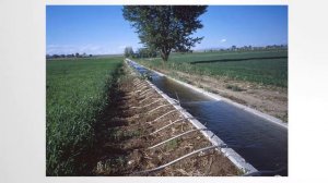 Сельское хозяйство