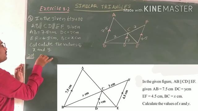 Similar Triangles//Exercise 8.2(1,2,3Q)//Based On Similarity Criterion//