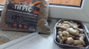 №1 ? Делюсь опытом выращивания Вешенки  Или как вырастить Вешенку на опилках дома  Часть 1