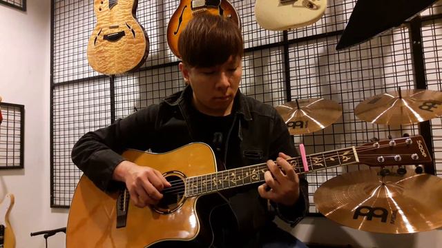 Sqoe HX-3 Acoustic Guitars смотреть онлайн