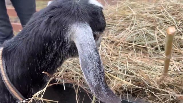 #512 Мы были вынуждены это сделать, другого выхода не было. смотреть онлайн