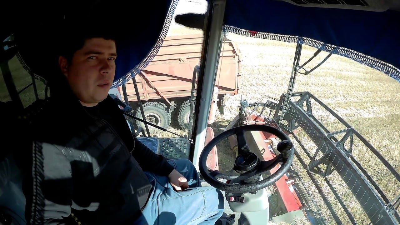 VECTOR 410, ACROS 550, ПАЛЕССЕ Gs12. Поле 700 га продолжаем уборку!! смотреть онлайн