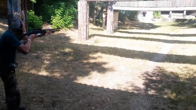 Бегущий кабан