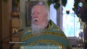 Протоиерей Димитрий Смирнов. Проповедь о приобщении к Духу Святому и о четырёх категориях людей